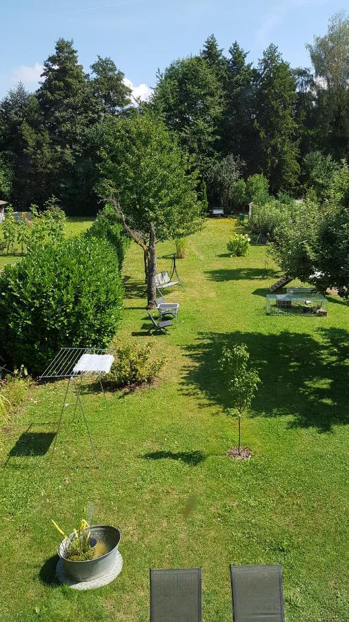 Vila Finger'S Hyggelig-Haus Erbach  Exteriér fotografie